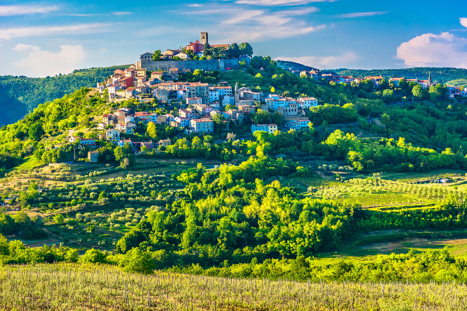 Istria Olio e Vini
